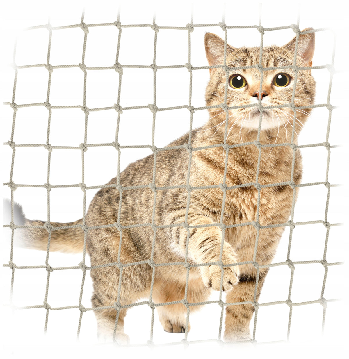 CAT PROTECTIVE NET FOR BALCONY WINDOW DENSE EYE 28x28mm TO SIZE