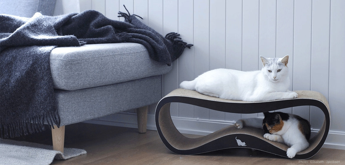 CAT SCRATCHER CARDBOARD LARGE BED 75x26x25 cm MYKOTTY Brand myKotty