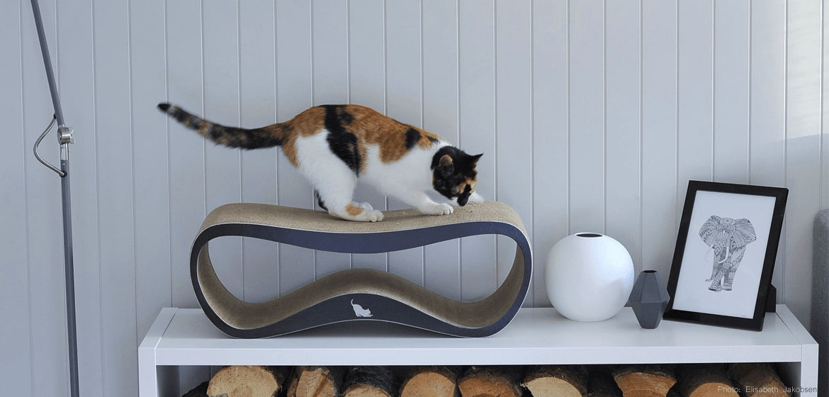 CAT SCRATCHER CARDBOARD LARGE BED 75x26x25 cm MYKOTTY Kind small scratching post wave bed scratching mats