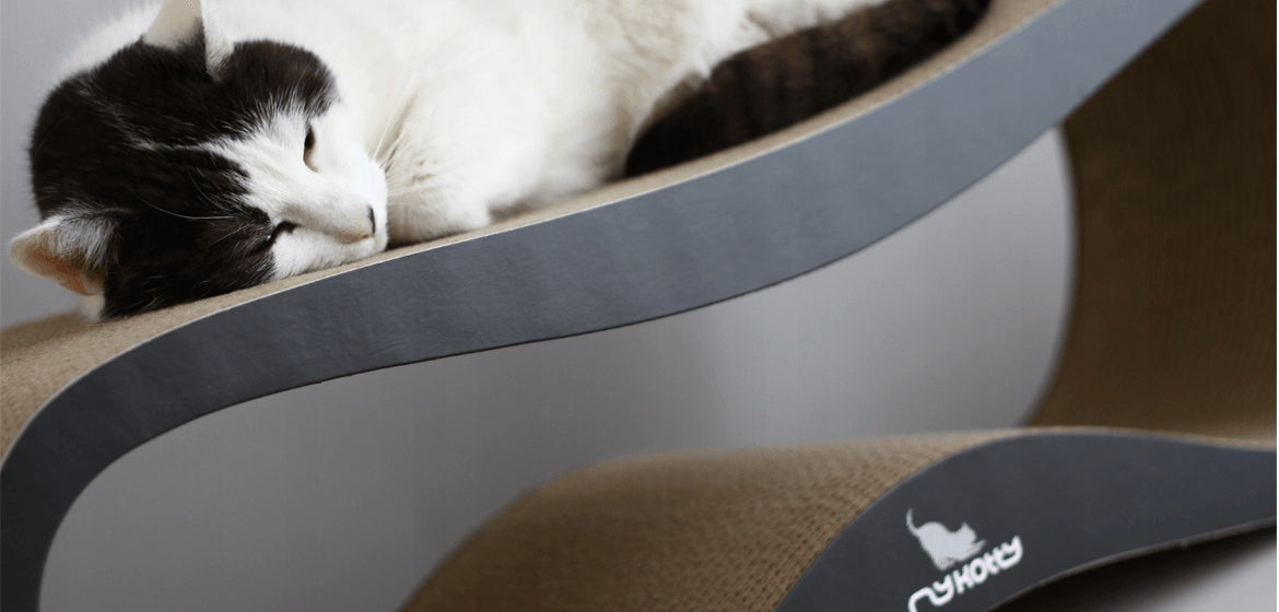 CAT SCRATCHER CARDBOARD LARGE BED 75x26x25 cm MYKOTTY Number of levels 2