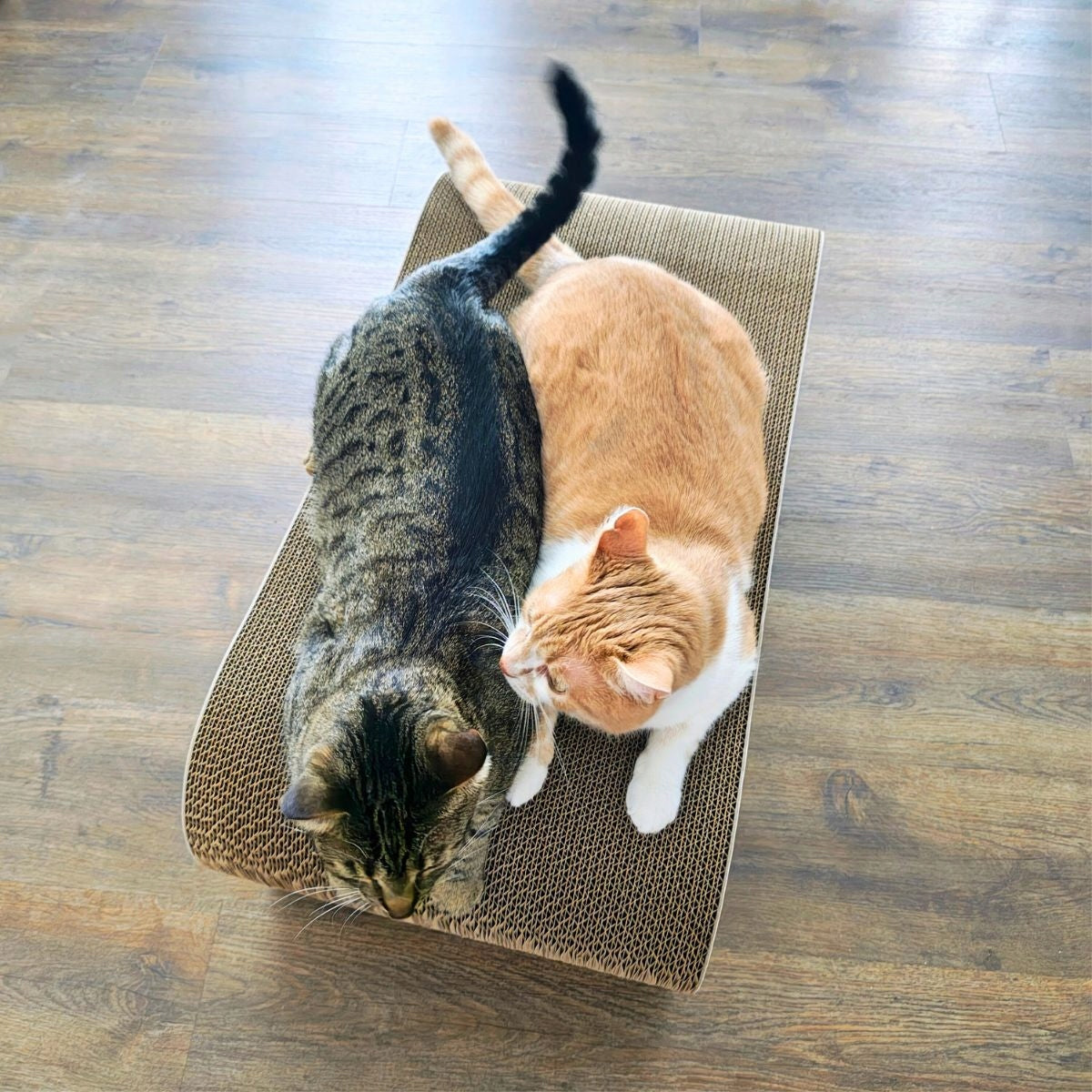 CAT SCRATCHER CARDBOARD LARGE LEON XXL BED 78x28x40 cm Mruu&Pruu Packaging status original
