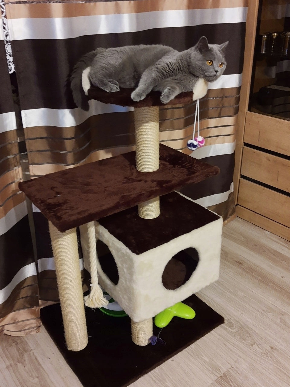 CAT SCRATCHER No. 017B LARGE CAT XL MAINE COON Brand Dep-Mal