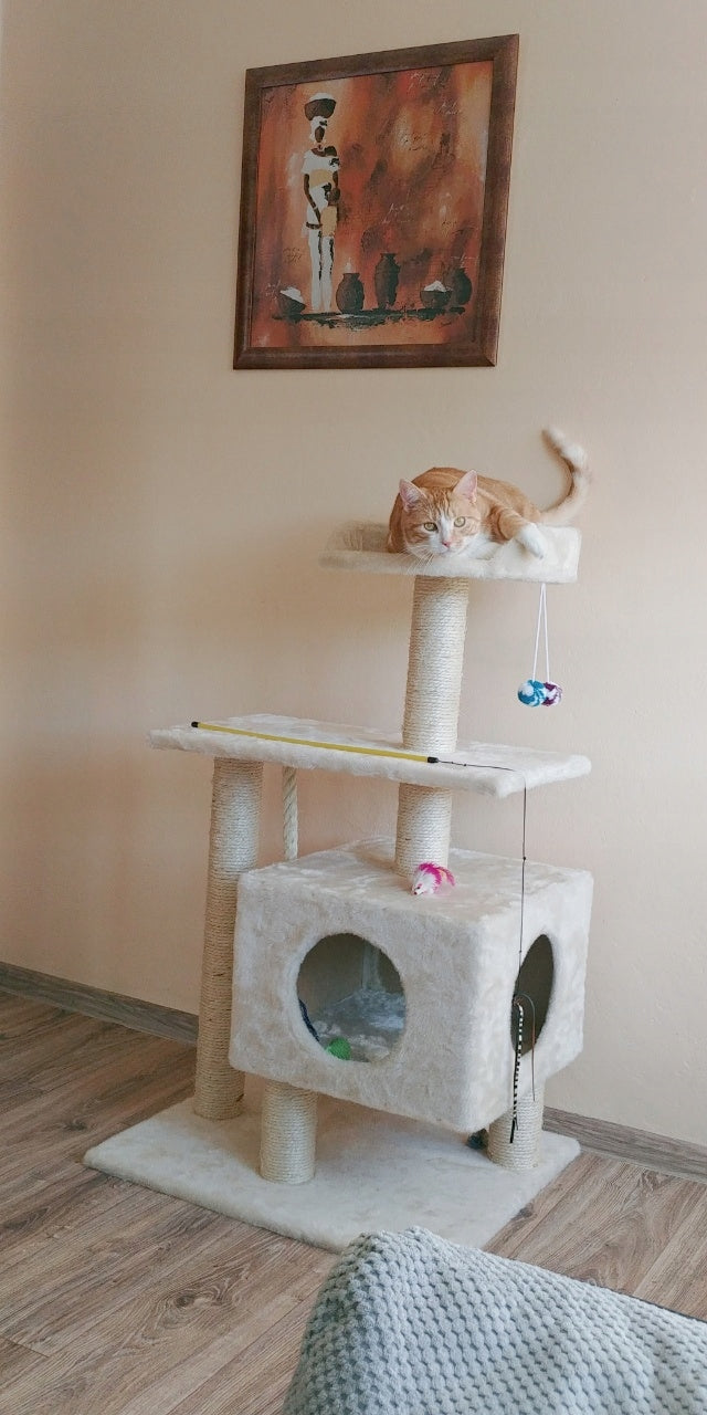 CAT SCRATCHER No. 017B LARGE CAT XL MAINE COON Height (cm) 101 - 160 cm