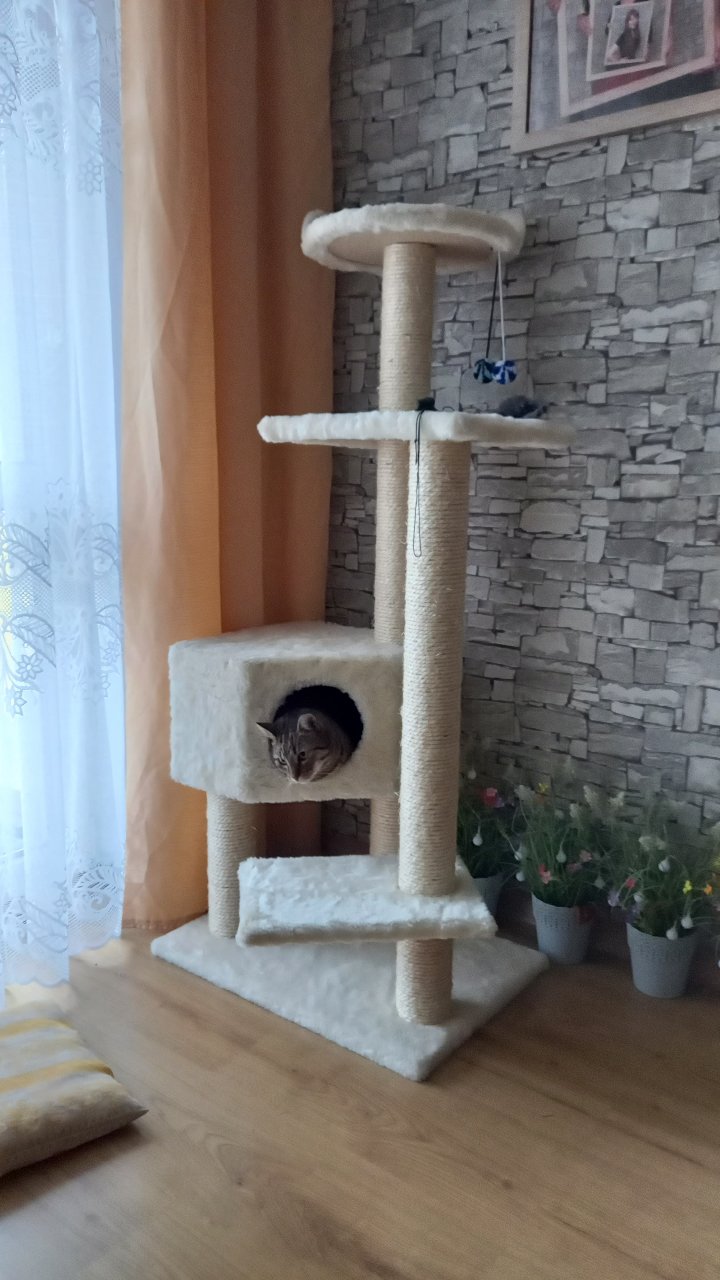 CAT SCRATCHER No.043 scratching posts for cats Trade name 043