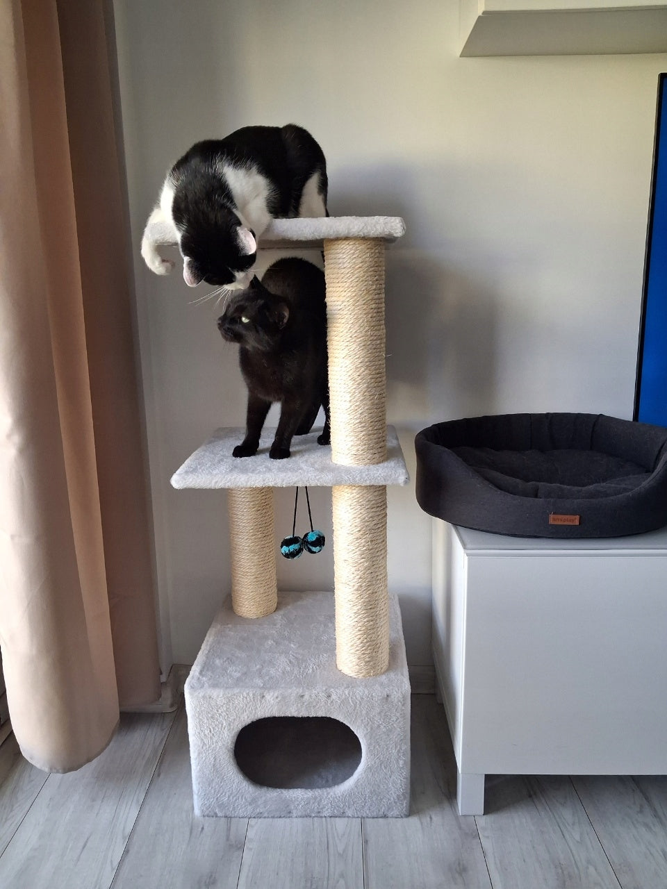 CAT SCRATCHER No.09 - scratchers for cats, Manufacturer code 019c