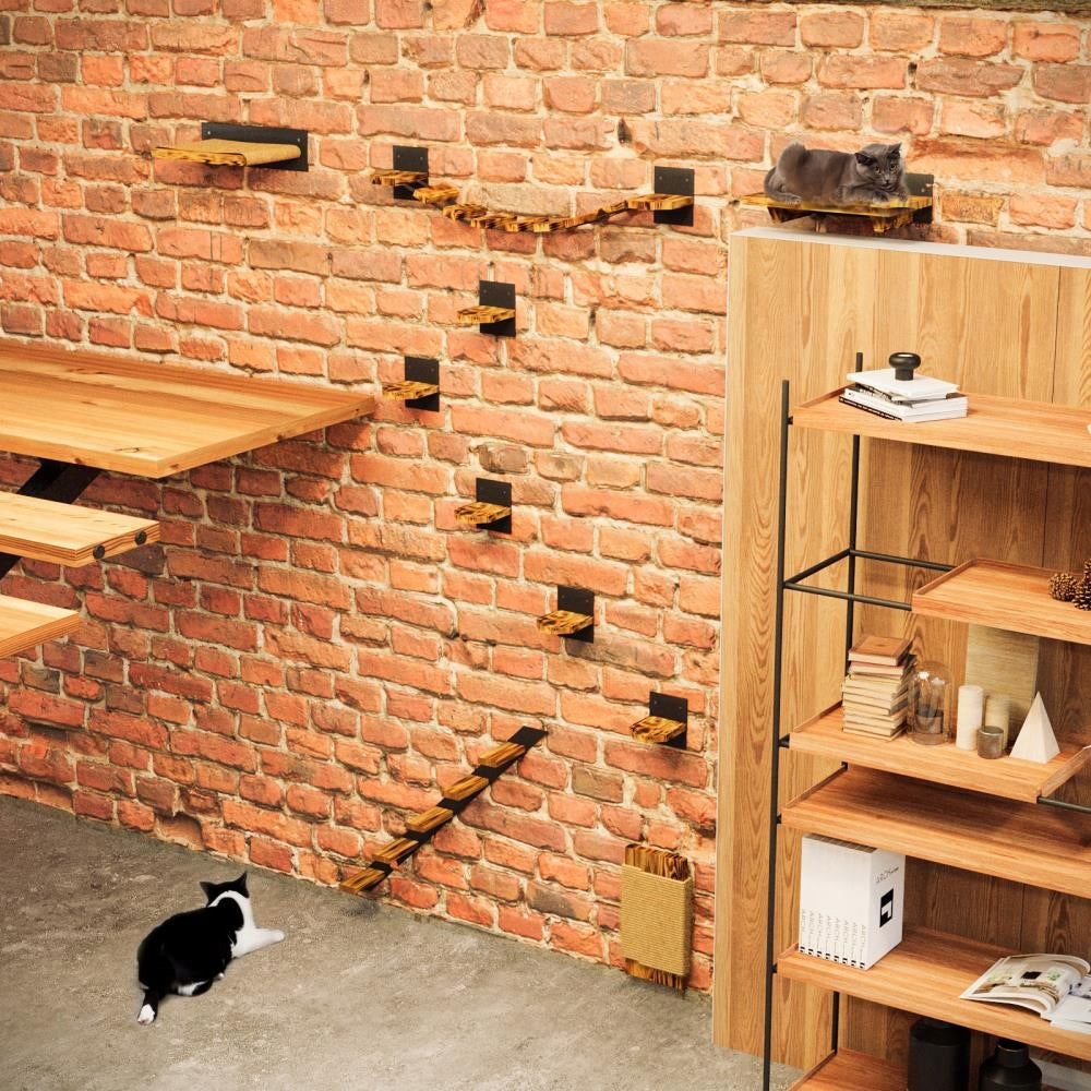 CAT SHELF STAIRCASE CAT ENCLOSURE LOFT Brand QLS