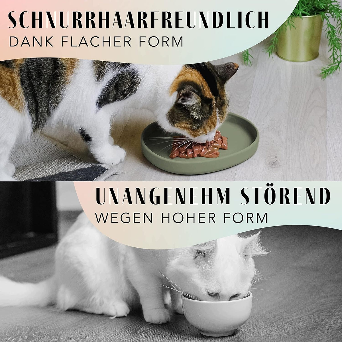 CAT SILICONE BOWL FLAT WIDE NON-SLIP Kind automatic feeder