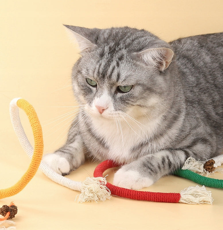 CAT TOY CORD STRING HOSE KICKER Manufacturer code SD136