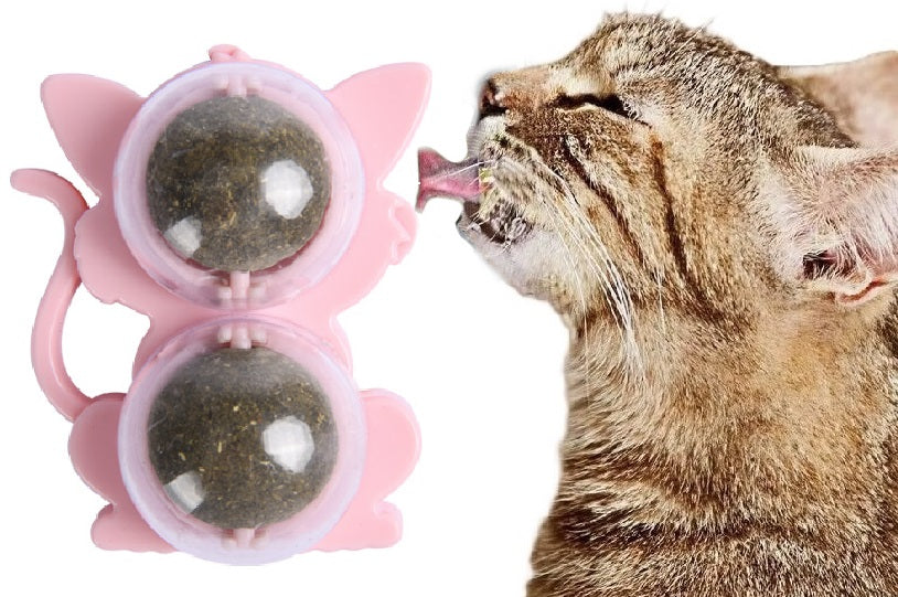 CAT TOY DOUBLE CATNIP ROTATING IN LICKING BALL