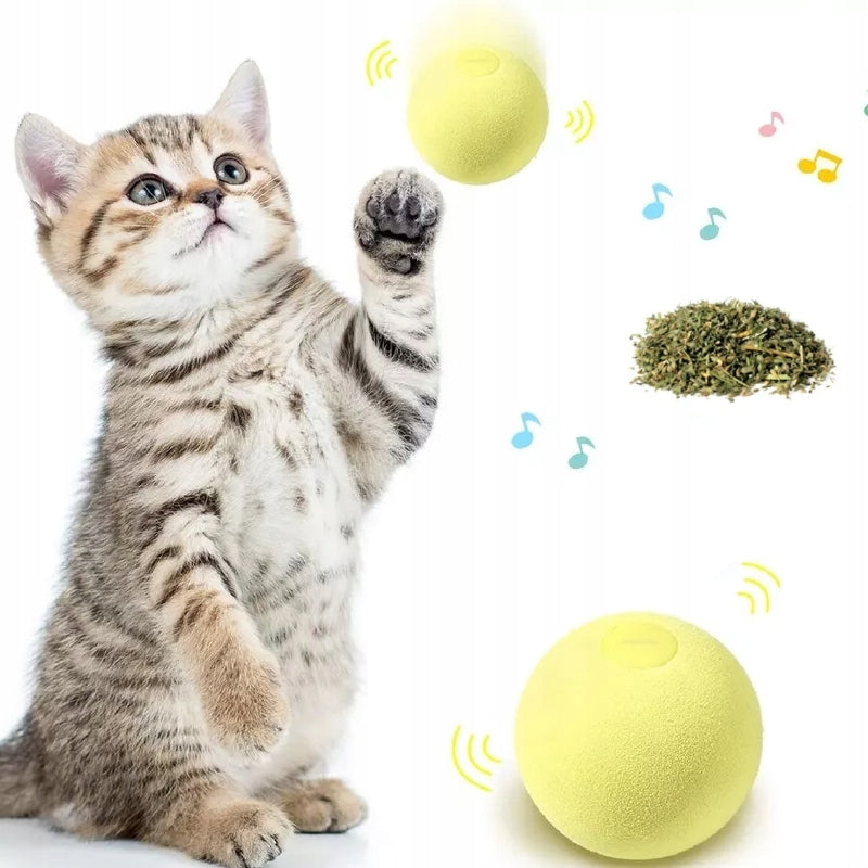CAT TOY INTERACTIVE BALL + CATTNIP