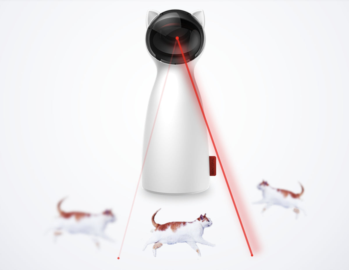 CAT TOY ROBOT LASER INTERACTIVE LASER CAT Brand no brand