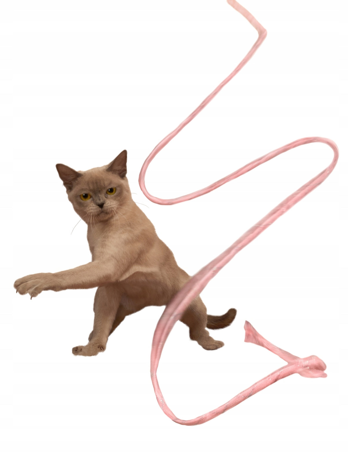 CAT TOY ROPE WITH BEAD THAT AROUSES CURIOSITY Manufacturer code 32456