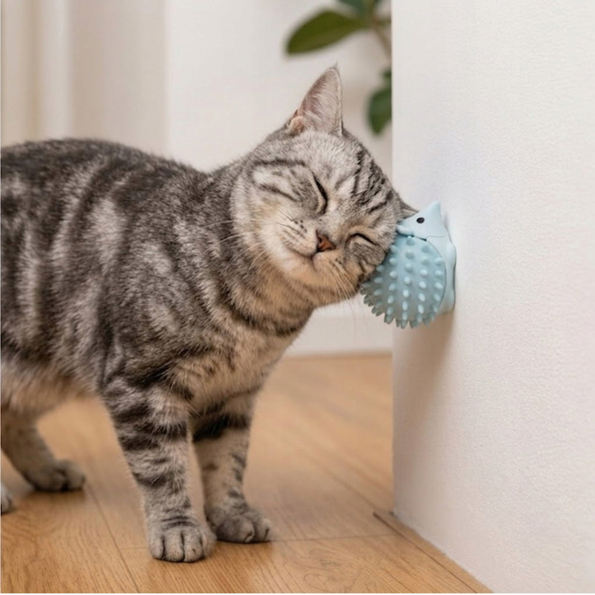 CAT TOY SIEMIEC SILICONE HEDGEHOG WITH CATNIP COMPACT BLUE Packaging status original