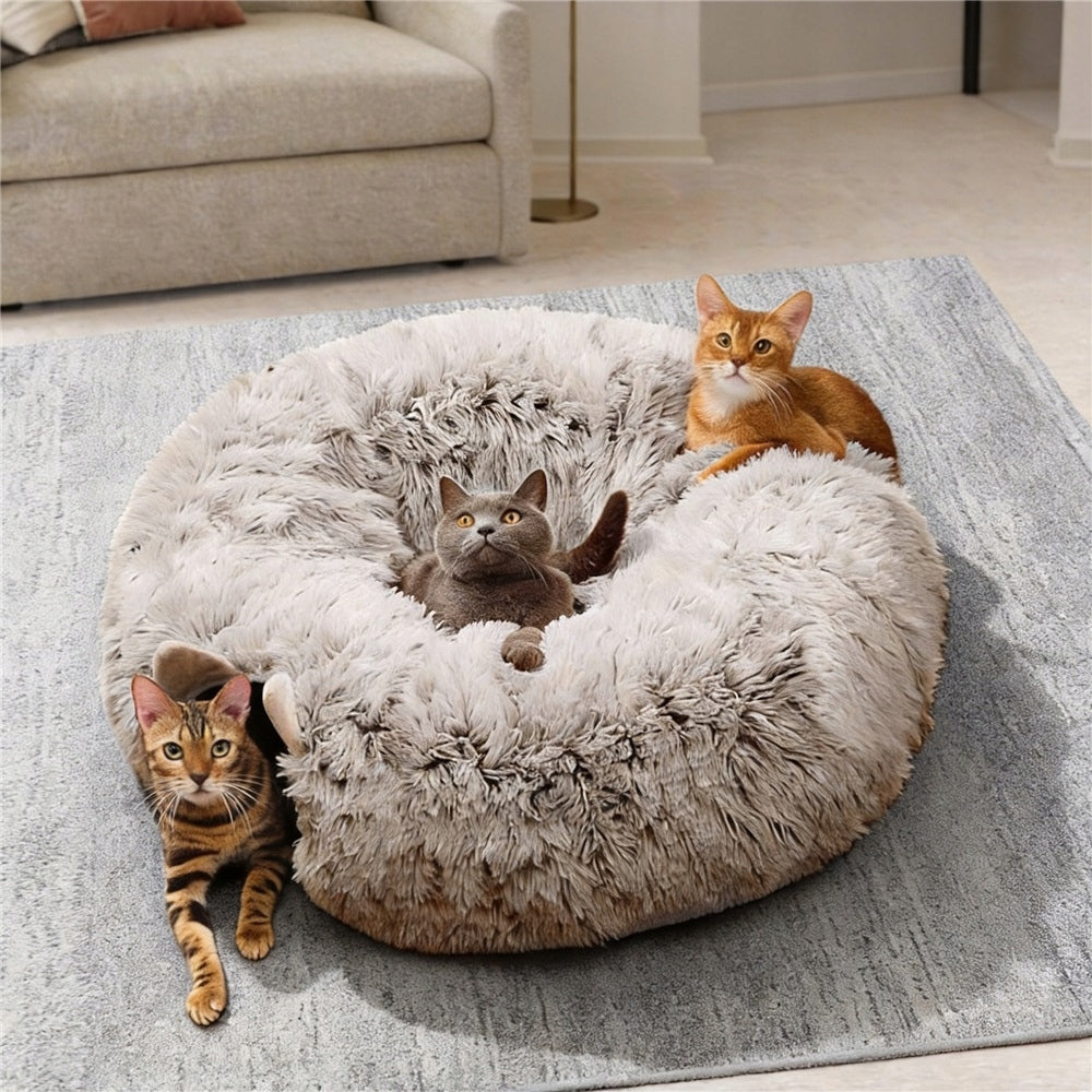 CAT TUNNEL WITH BED PLUSH INTERACTIVE CAT HOUSE Brand no brand
