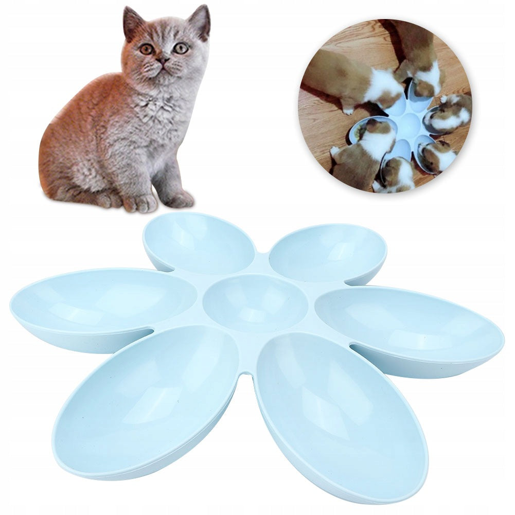 CAT WATER BOWL WITH SIX FLAKES
