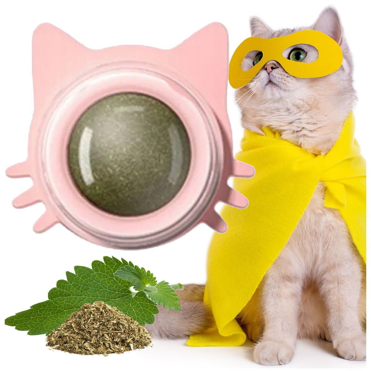 CATNIP IN A BALL IN A RESEALABLE CASE NEPETA CAT TOY GLUED