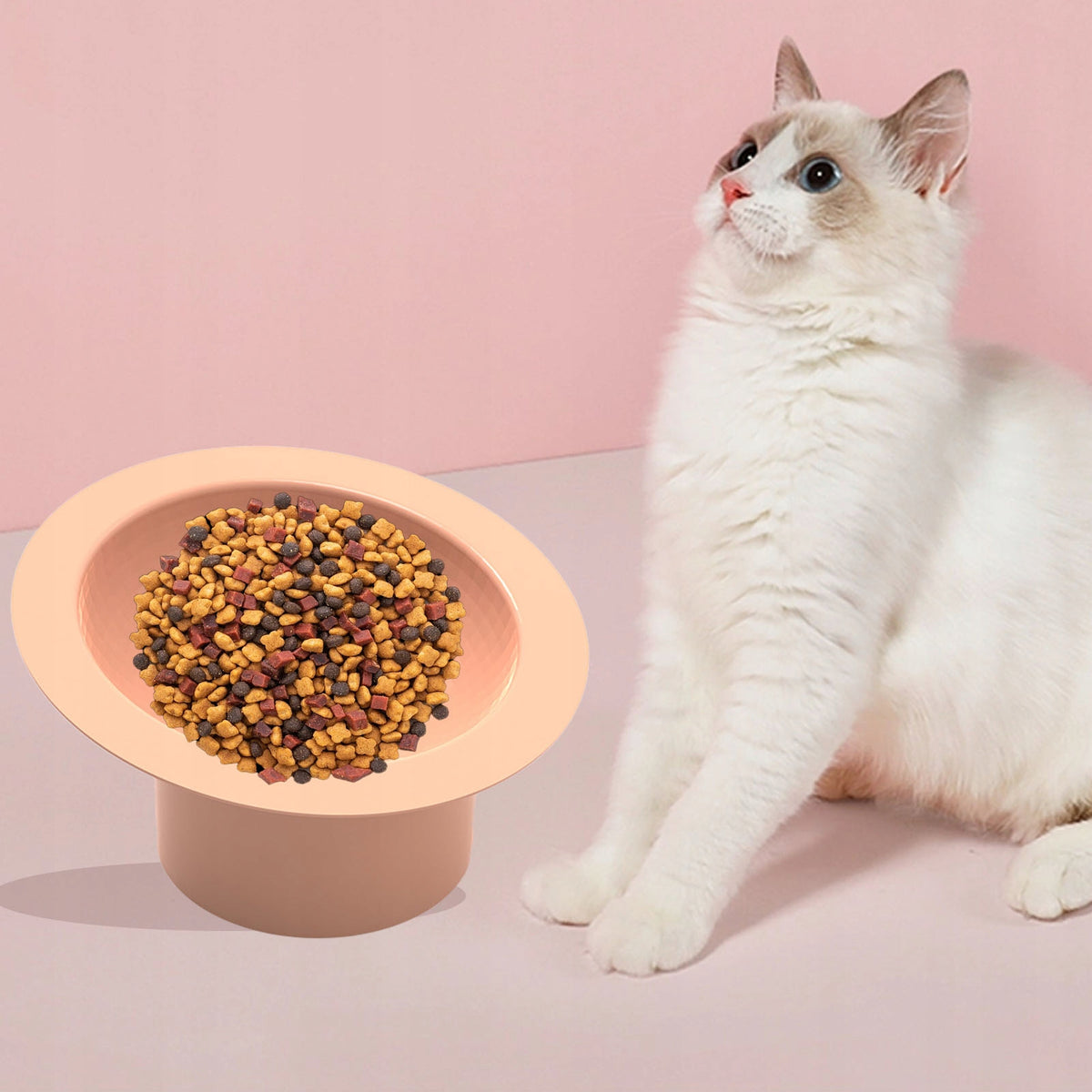 CERAMIC BOWL FOR CAT AND DOG 15 DEGREES DIAMETER 6,3 INCHES Kind single bowl