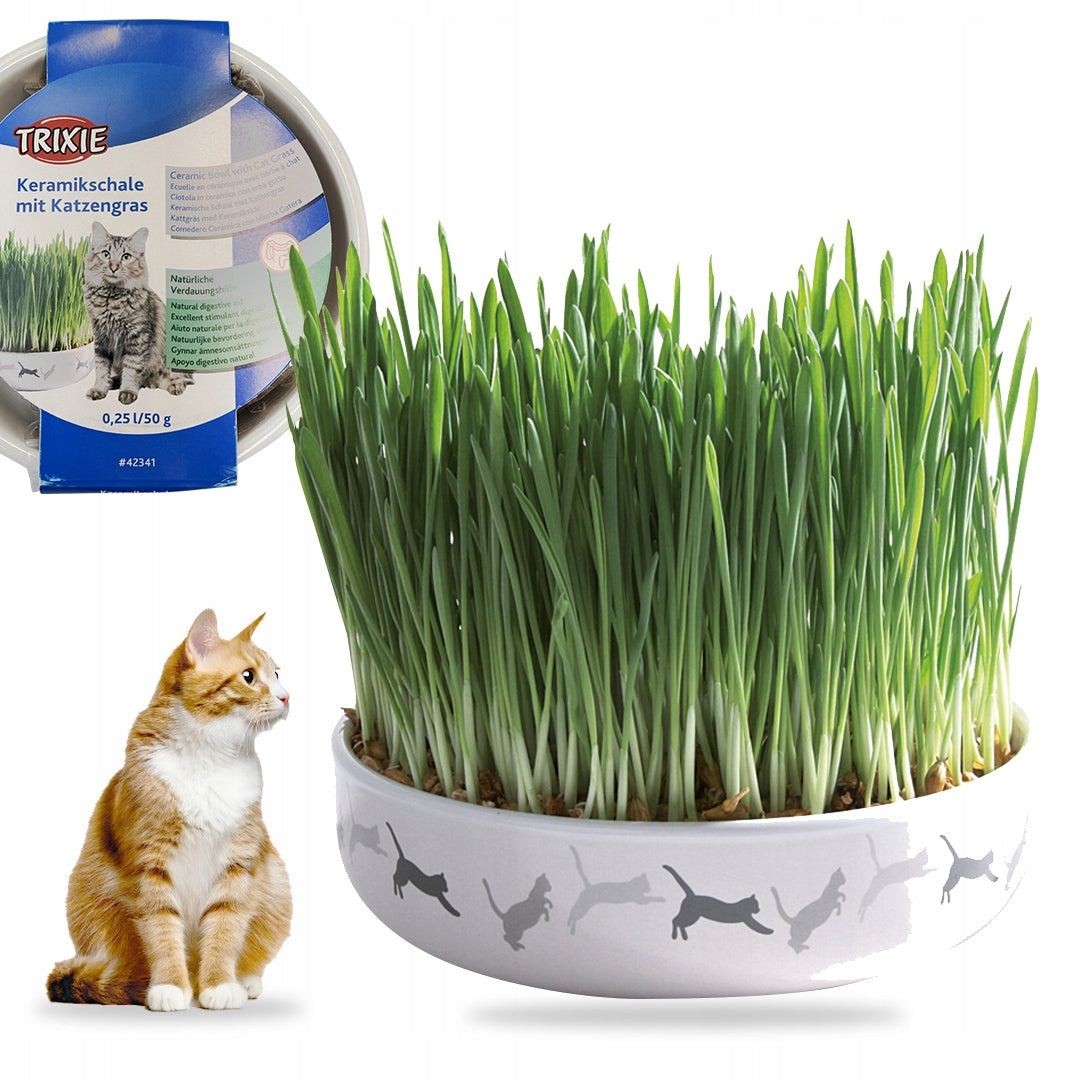 CERAMIC BOWL GRASS SEEDS FOR DELAY HAIR BALLS FOR CAT TRIXIE