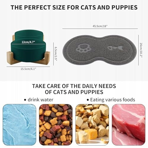 CERAMIC CAT BOWLS WITH BAMBOO HANDLE SET OF 2 FOR HOME Kind single bowl
