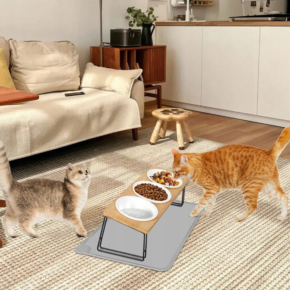 CERAMIC FEEDING STATION 3 ERGONOMIC BOWLS FOR CAT Packaging status original