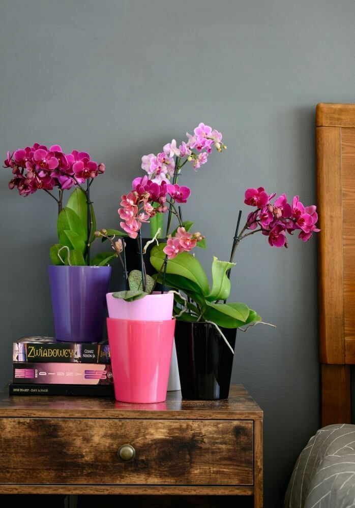CERAMIC ORCHID FLOWER POT COVER 13cm, BLACK Color black