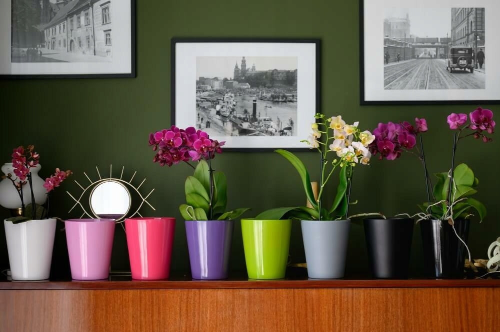 CERAMIC ORCHID FLOWER POT COVER 13cm, BLACK Maximum width 13 cm
