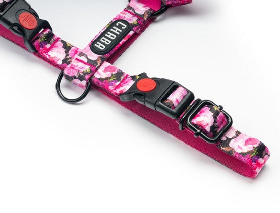 CHABA Guard Story IV S Peony Harness Brand Chaba