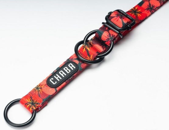 CHABA Story IV L Opium Semi-Clamp Collar Brand Chaba