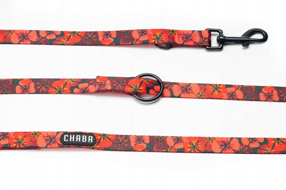 CHABA leash adjustable STORY L/XL opium Manufacturer code 661485