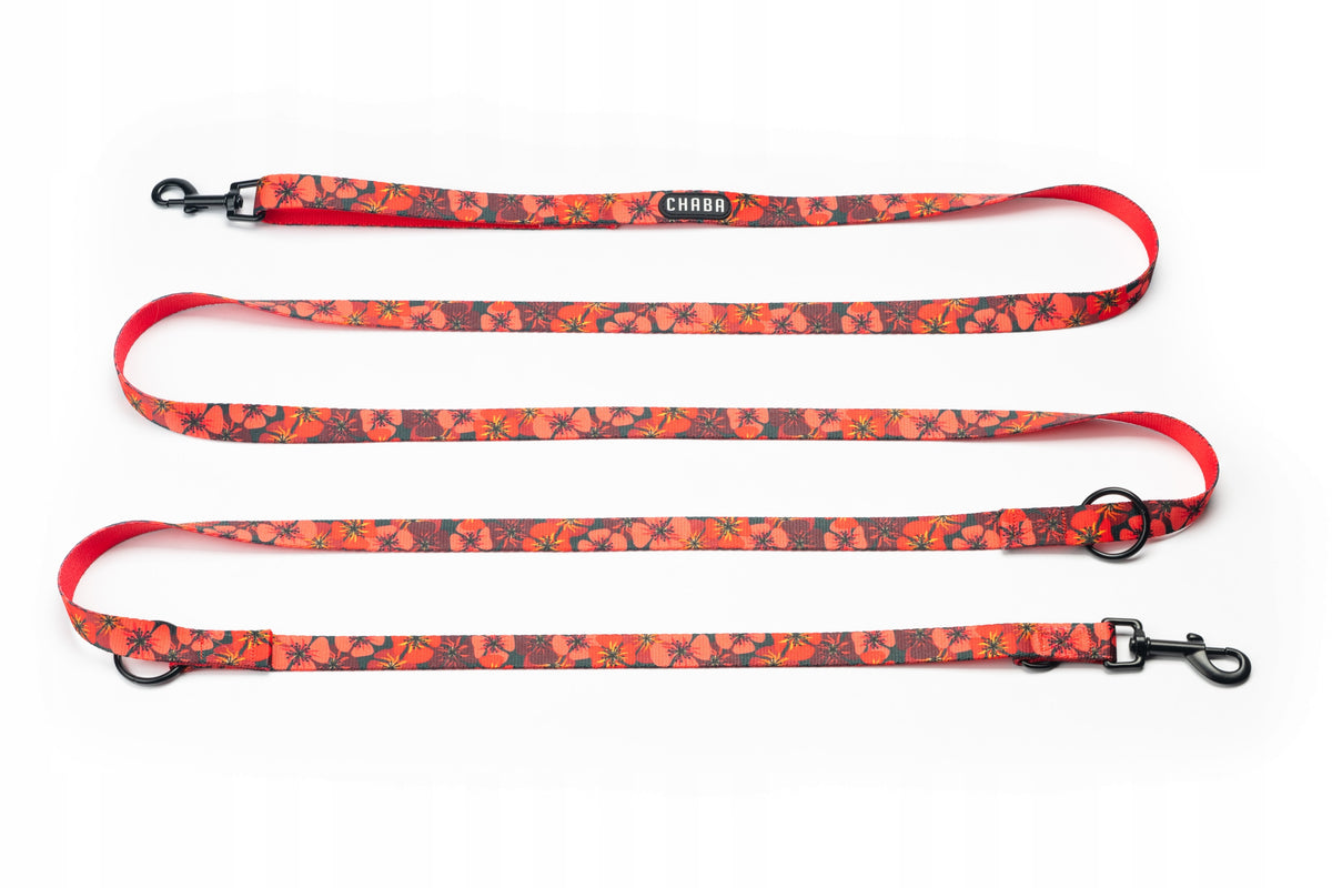 CHABA leash adjustable STORY L/XL opium