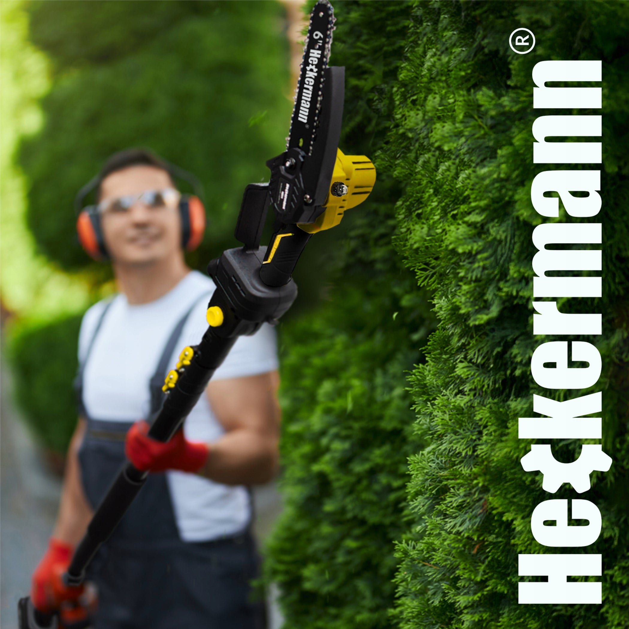 CHAINSAW + CORDLESS PRUNER BRANCH 2xAKU + BOOM 200 CM Brand Heckermann