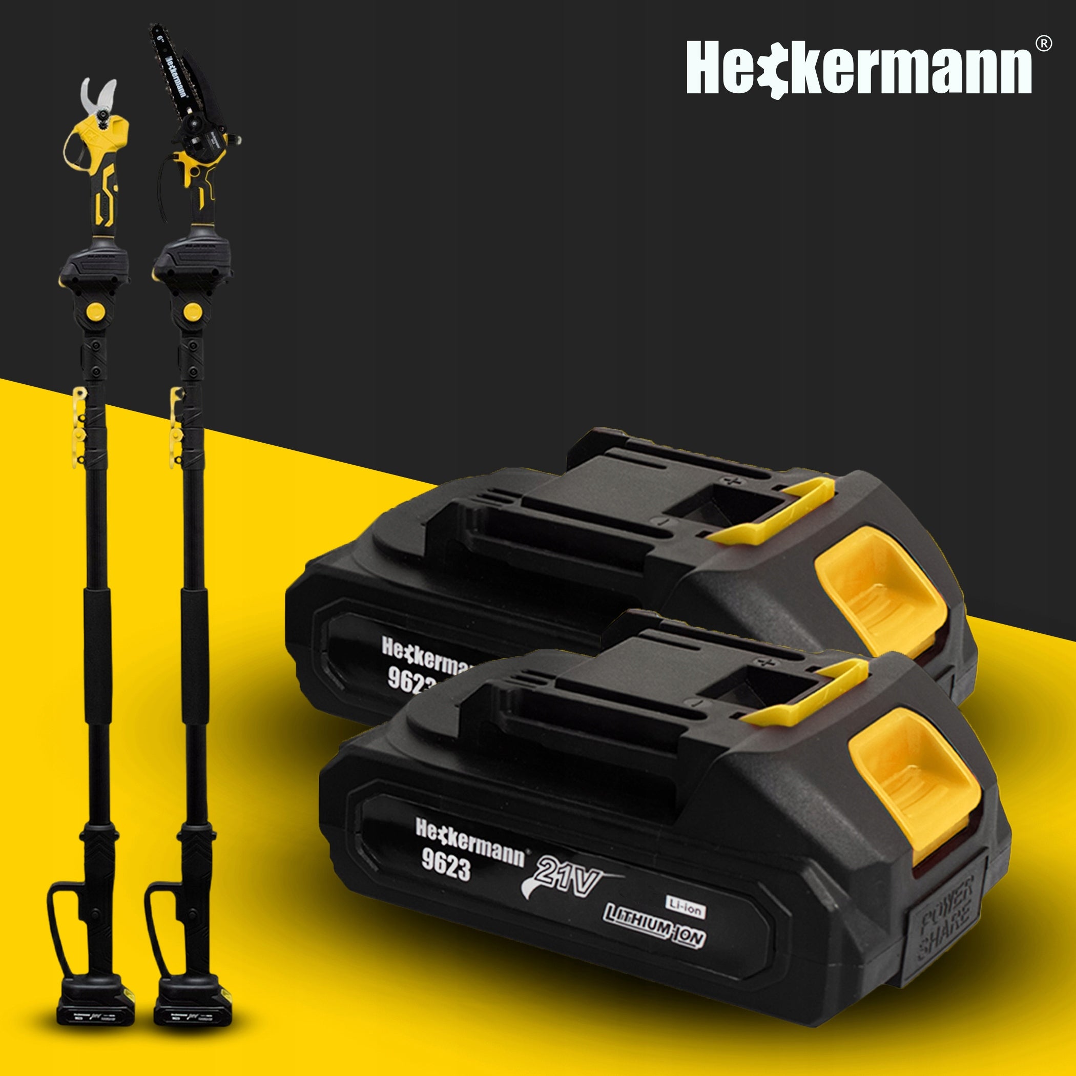 CHAINSAW + CORDLESS PRUNER BRANCH 2xAKU + BOOM 200 CM Power supply rechargeable battery
