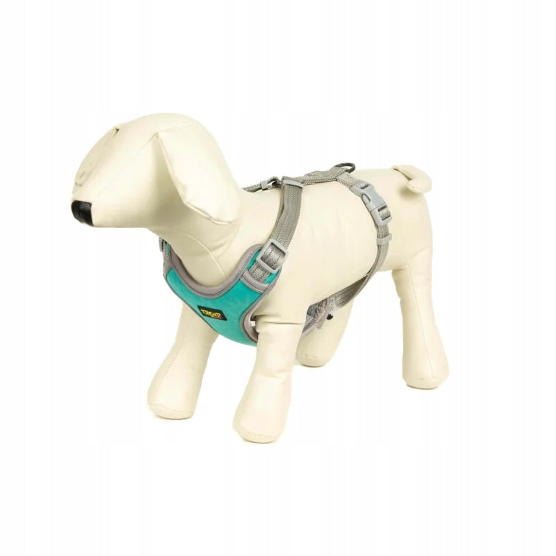CHICO TREND RUN REFLECTIVE SUSPENDERS TURQUOISE M FOR DOG EAN (GTIN) 5902838916216