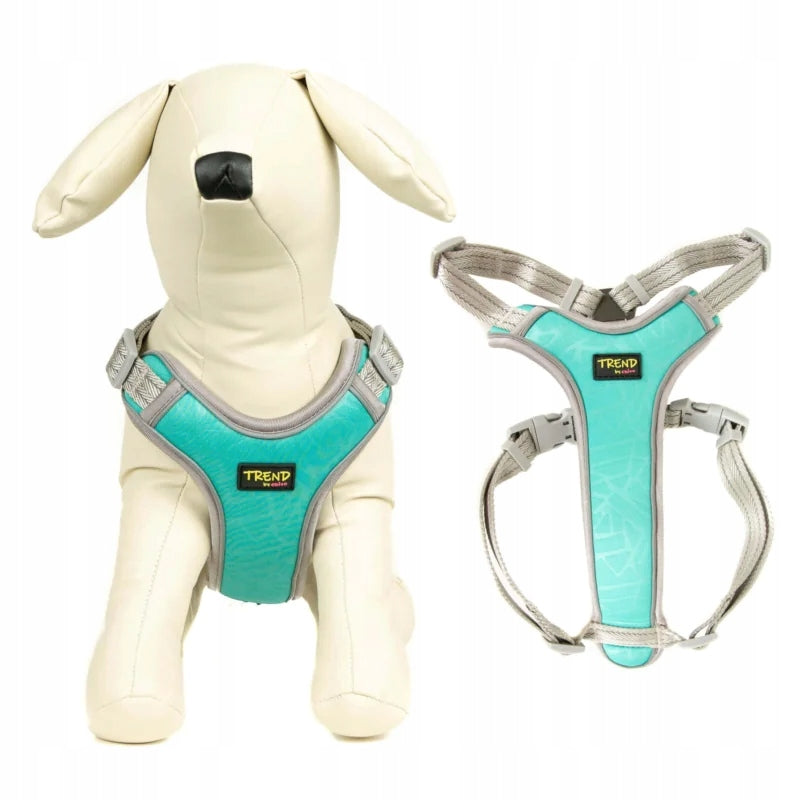 CHICO TREND RUN REFLECTIVE SUSPENDERS TURQUOISE M FOR DOG