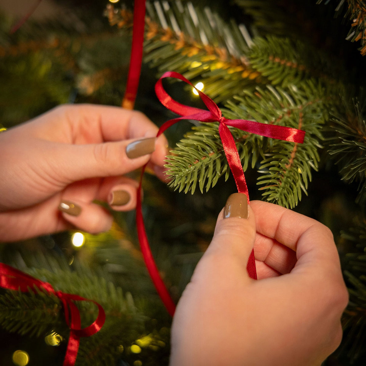 CHRISTMAS TREE ARTIFICIAL SIBERIAN SPRUCE ROYAL TREES PE PREMIUM 150cm AS ALIVE Brand Springos