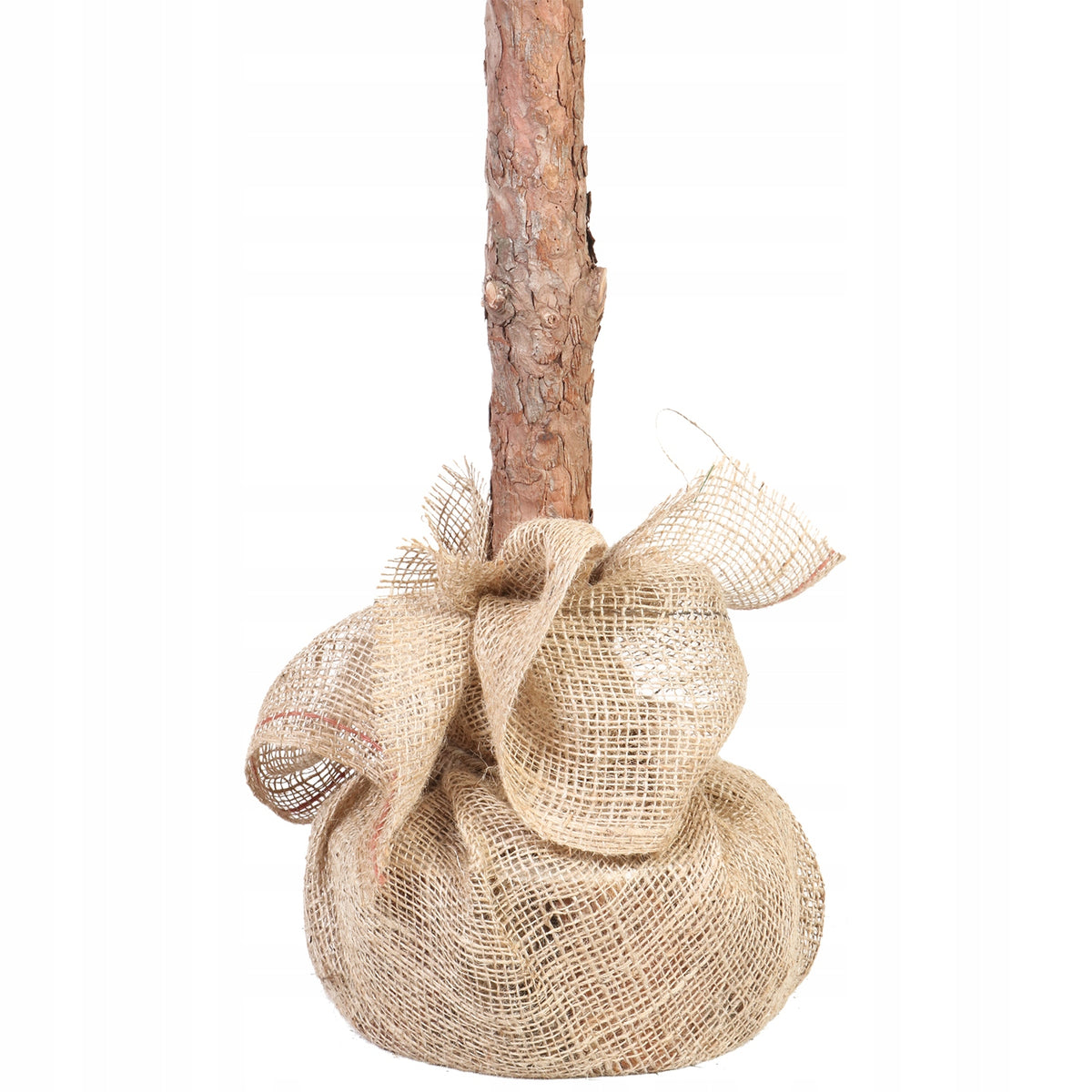 CHRISTMAS TREE ON THE TRUNK PREMIUM DIAMOND PINE 180CM Manufacturer code OLA180PN