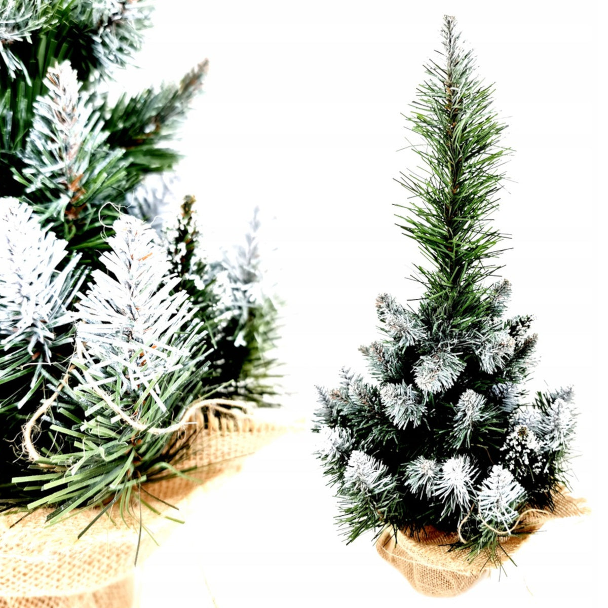 CHRISTMAS TREE SMALL PINE SMALL CHRISTMAS TREE ON THE TRUNK CONE 50 CM AS LIVE