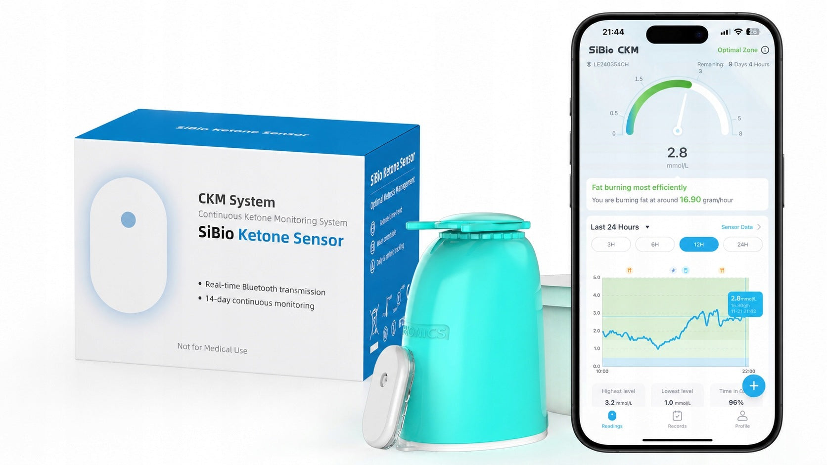 CKM CONTINUOUS MONITORING SYSTEM FOR SIBIO KETONES