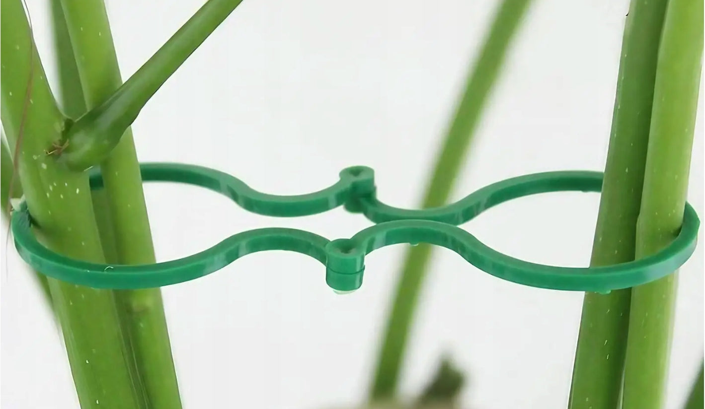 CLASP CLIP BUCKLE FOR PLANTS TOMATOES BEAN FLOWERS STEMS 50 PCS Brand DKM
