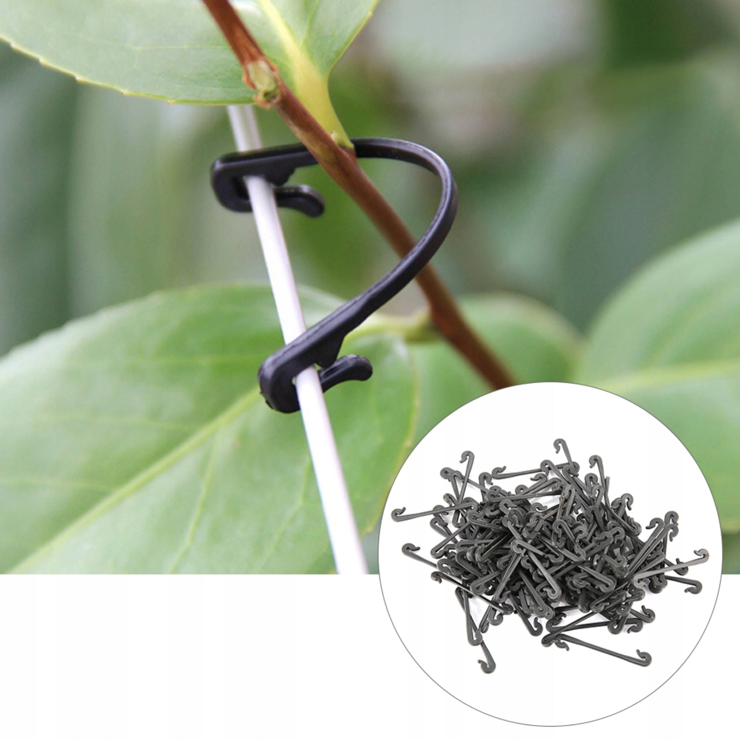 CLASP HOLDER FOR RASPBERRIES 6,5 CM 100PCS Color black