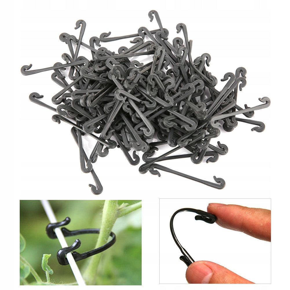 CLASP HOLDER FOR RASPBERRIES 6,5 CM 100PCS EAN (GTIN) 0637496039384
