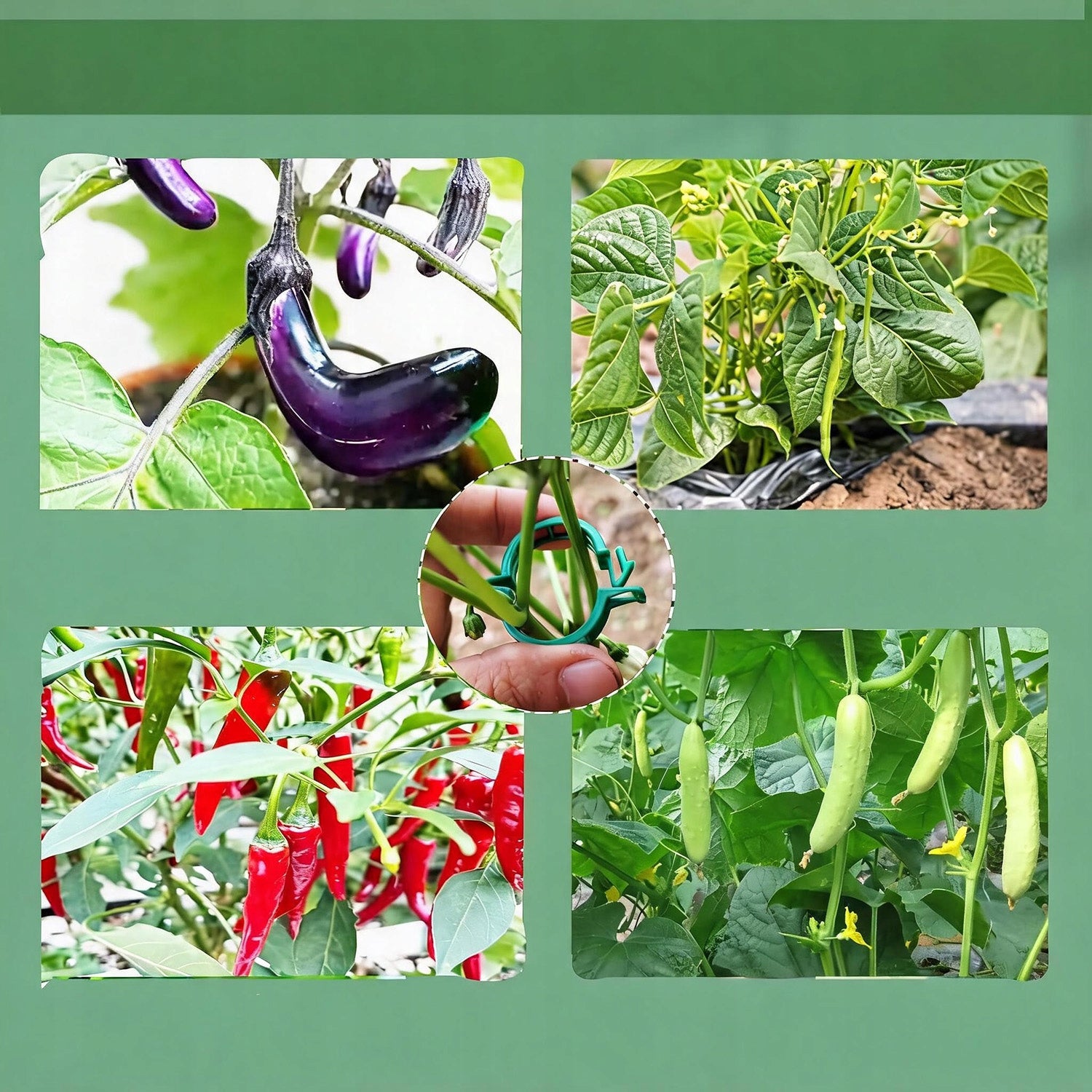 CLASPS CLIPS FOR TOMATOES BEAN STEMS PLANTS 300 PCS MULTIFUNCTIONAL Brand no brand