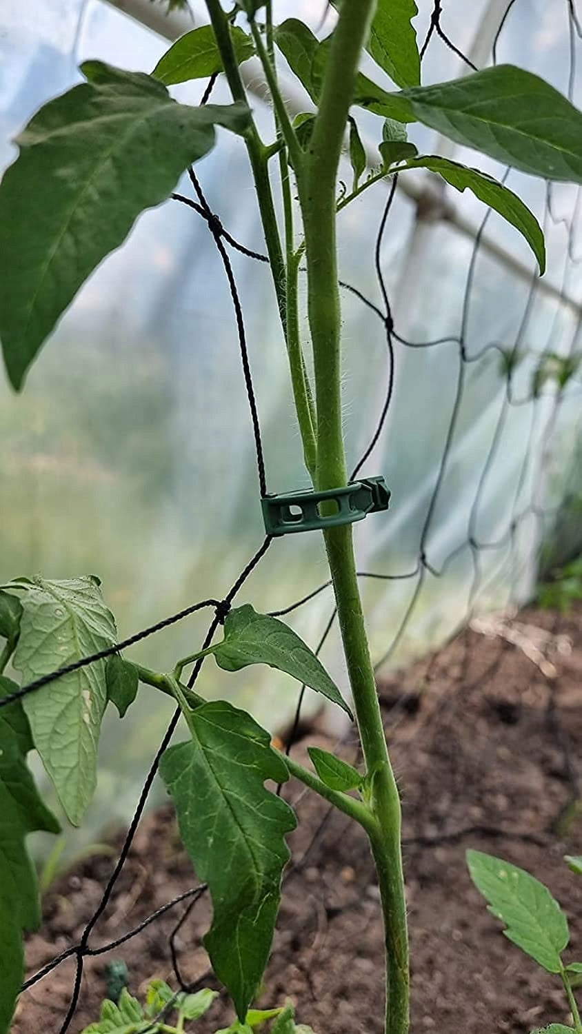 CLASPS CLIPS FOR TOMATOES BEANS STEMS PLANTS 1000 pcs Number of pieces 1000 pcs