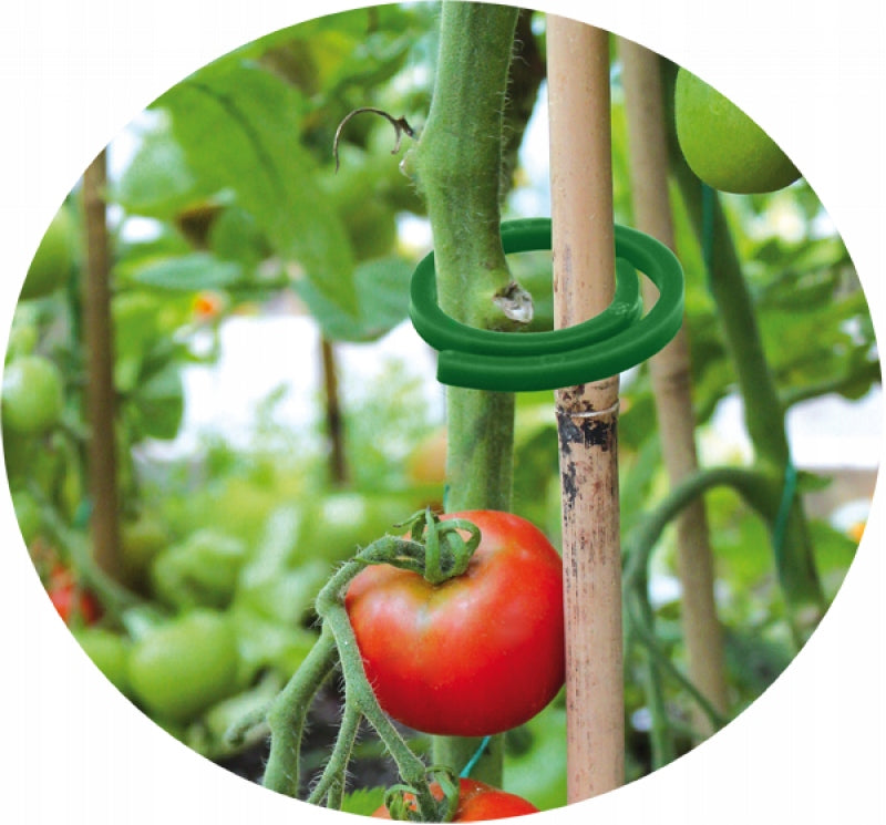 CLASPS FOR FIXING TOMATO PLANTS ON ROUND POLES 50 PIECES GREEN Number of pieces 50 pcs