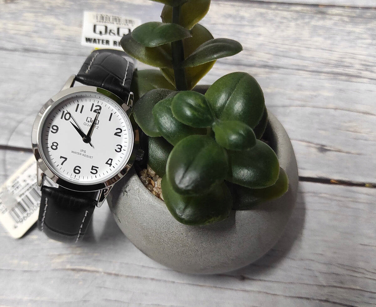 CLASSIC WOMEN'S WATCH QQ C215-304 Gender woman