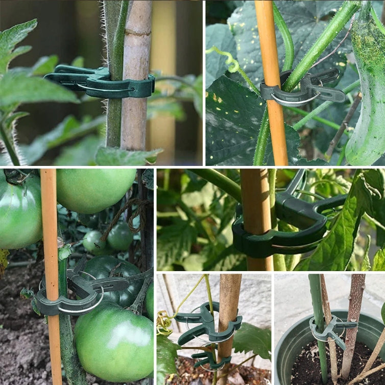CLIP CLIPS HANDLE CLASP FOR STEMS OF TOMATO PLANTS TREES 2,5cm 50pcs Color green