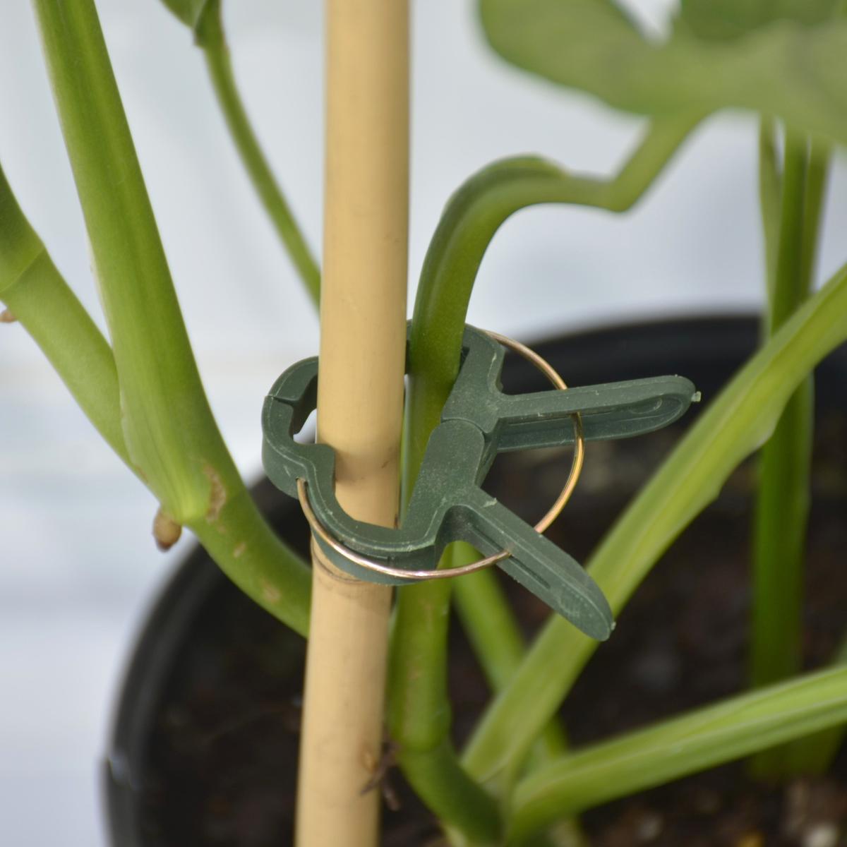 CLIP HOOK FOR FASTENING FLOWER PLANTS CREEPERS Set of 20 Manufacturer code 8721037404105