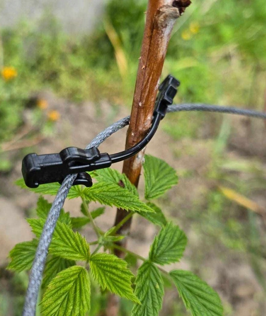 CLIP for plants of shrub trees 500 pcs. PL MANUFACTURER Packaging status original