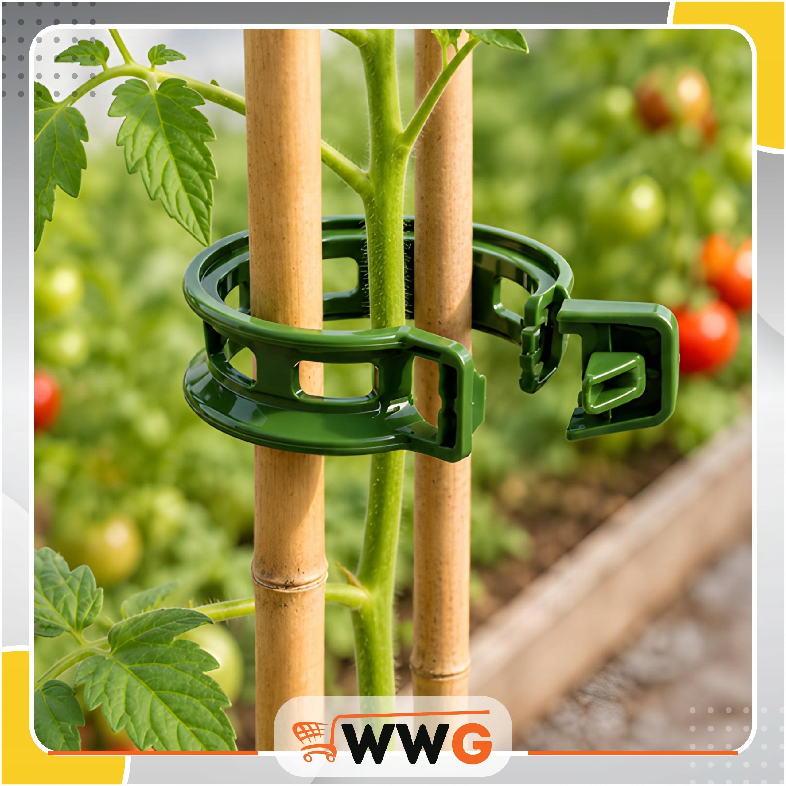 CLIPS CLASPS FOR FIXING PLANT TOMATOES SET OF 100 PCS FOR SHOOT STEMS Brand WWG