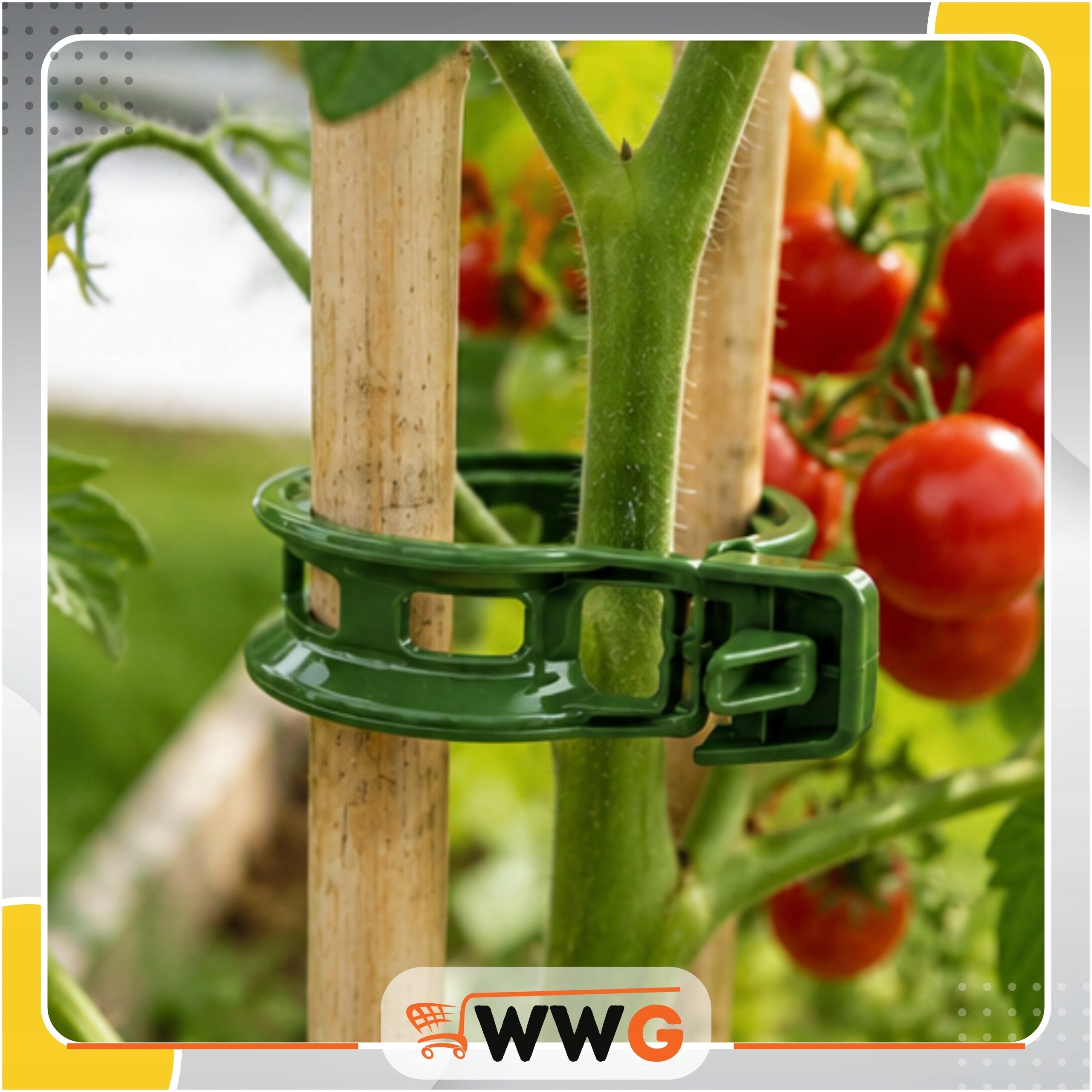 CLIPS CLASPS FOR FIXING PLANT TOMATOES SET OF 100 PCS FOR SHOOT STEMS Product width 3 cm